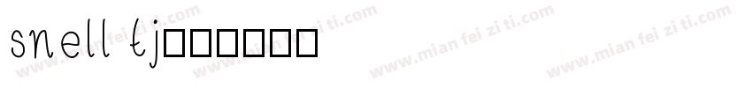 snell tj字体转换